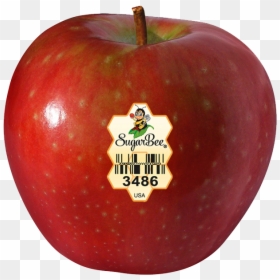 Transparent Golden Apple Png - Chelan Washington Apple, Png Download - golden apple png