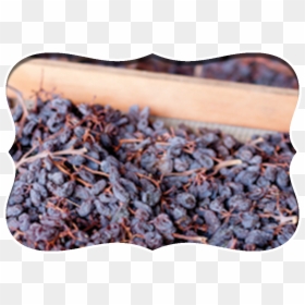 Home Raisins Design - Wood, HD Png Download - raisins png