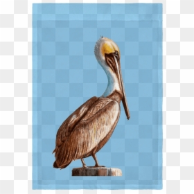 Brown Pelican, HD Png Download - drake head png