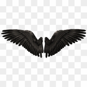 Angel - Devil Wings Png, Transparent Png - angel wings png tumblr