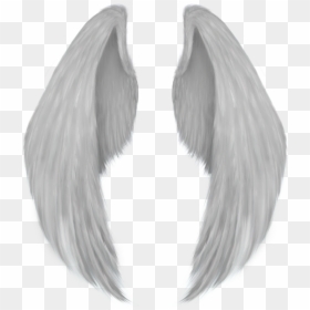 Angel Wing Drawing - Guardian Angel Angel Wing Drawing, HD Png Download - angel wings png tumblr