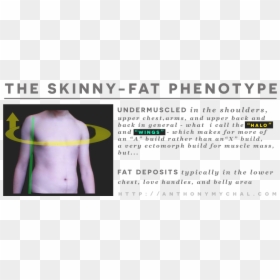 What Is Skinny Fat Syndrome What Is A Skinny Fat Ectomorph - Skinny Fat Mesomorph, HD Png Download - muscle arms png