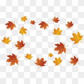 Maple Leaves Falling Png Download - Maple Leaf Falling Png, Transparent Png - fall leaves falling png