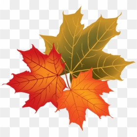 Fall Leaves Vector Png, Transparent Png - fall leaves falling png