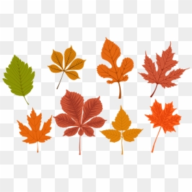 Free Png Autumn Leaves, Transparent Png - fall leaves falling png