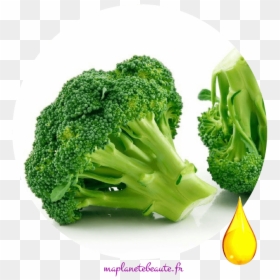 Huile De Brocoli - Vegetables We Eat, HD Png Download - brocoli png