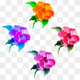 Transparent Bougainvillea Clipart - Garden Roses, HD Png Download - colorful flowers png