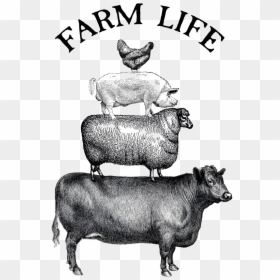 Transparent Farm Animals Png - Farm Animal Images Black And White, Png Download - farm animals png