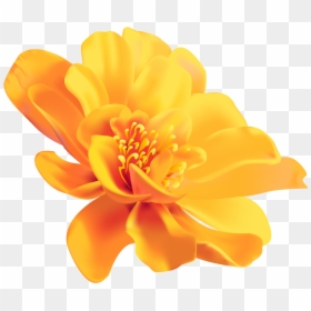 Yellow Flower Color Image Portable Network Graphics - Yellow Flower Transparent Background, HD Png Download - colorful flowers png
