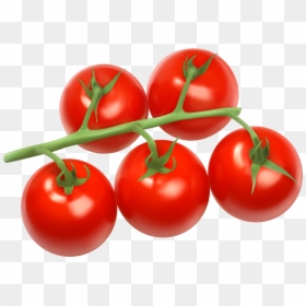 Tomatoes Clipart Png, Transparent Png - branch png