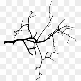 Branches Silhouette, HD Png Download - branch png