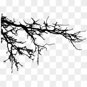 Tree Branches Silhouette Png, Transparent Png - branch png