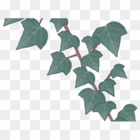 Flower, HD Png Download - ivy png