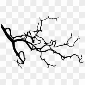 Tree Branches Silhouette Png, Transparent Png - branch png