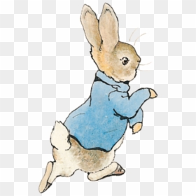 Tale Of Peter Rabbit, HD Png Download - rabbit png