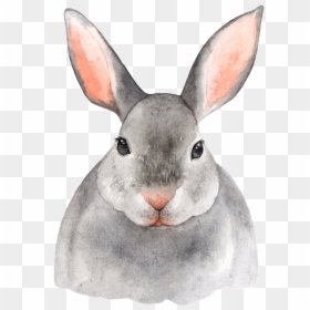 2019 Watercolor Calendar Printable Animals, HD Png Download - rabbit png
