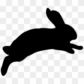 Tortoise And Hare Clipart, HD Png Download - rabbit png