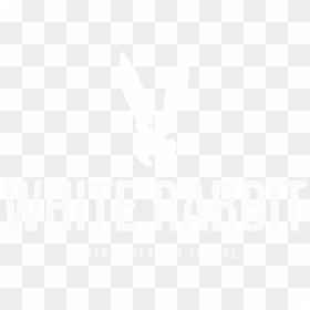 White, HD Png Download - rabbit png