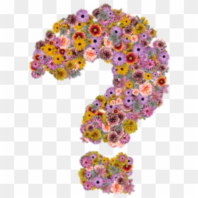 Flower With Question Mark, HD Png Download - question png
