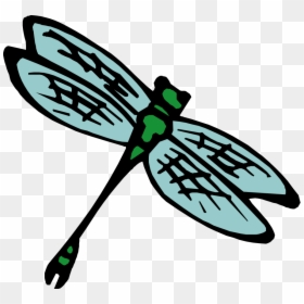 Insect Clipart, HD Png Download - kid png