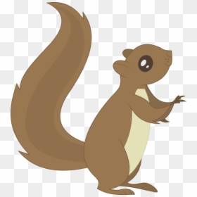Transparent Background Squirrel Cartoon, HD Png Download - squirrel png