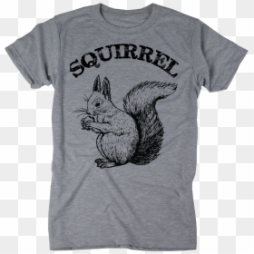 Clothing, HD Png Download - squirrel png