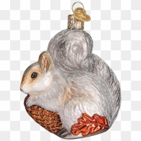 Squirrel Png, Transparent Png - squirrel png