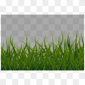 Grass Border Clipart Transparent, HD Png Download - tall grass png
