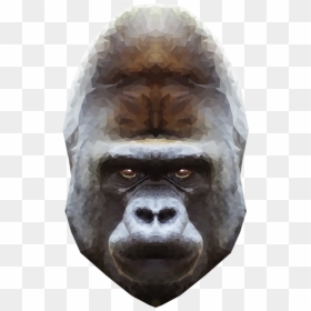 Gorilla Png, Transparent Png - gorilla png