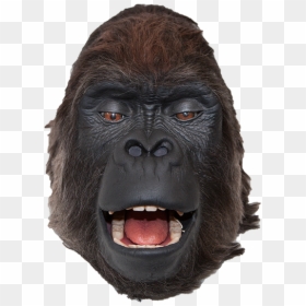 Gorilla, HD Png Download - gorilla png
