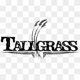 Tallgrass Band, HD Png Download - tall grass png