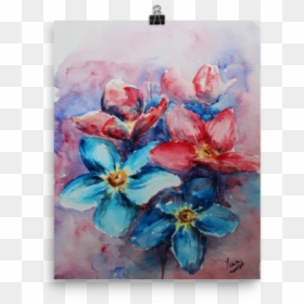 Fuchsia, HD Png Download - colorful flowers png