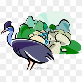 Cameleon Clipart Rainforest Animal - Rainforest Clip Art, HD Png Download - cartoon animal png