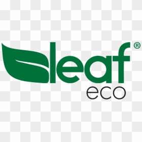 Leaf Oculos , Png Download - Circle, Transparent Png - oculos png
