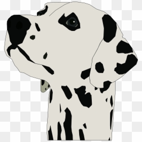 Dalmatian Head Clipart, HD Png Download - dalmatian png