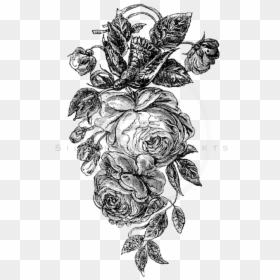 Transparent Rose Bouquet Clipart Black And White, HD Png Download - black and white flowers png