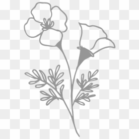 Transparent Wild Flowers Png - Rosa Glauca, Png Download - black and white flowers png