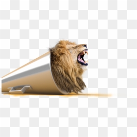 Lion Png The Best Presentations Visual Learning Center - Yellow Marketing, Transparent Png - lion roaring png