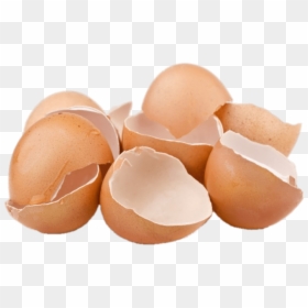 Cracked Egg Png - Egg Shells Png, Transparent Png - green eggs and ham png