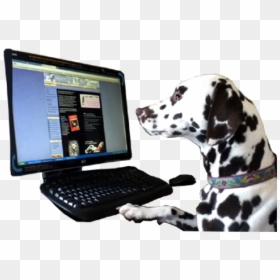 Dalmatian, HD Png Download - dalmatian png