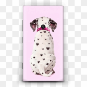 Dalmatian Love Skin Nokia Lumia - Paul Fuentes, HD Png Download - dalmatian png