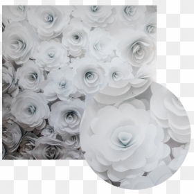 3d White Floral Backdrop, HD Png Download - gold bokeh png