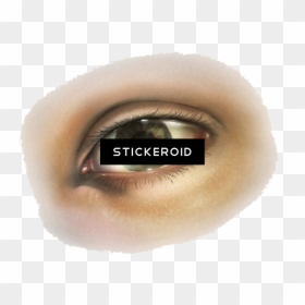 Human Eye Png, Transparent Png - brown eye png
