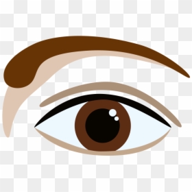 L-shaped Brow - Eyebrow, HD Png Download - brown eye png