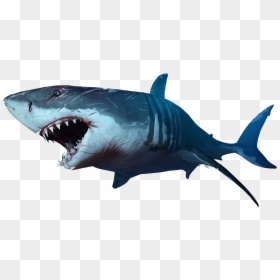 Sharks Png Images Free Download, Shark Png, Transparent Png - hammerhead shark png