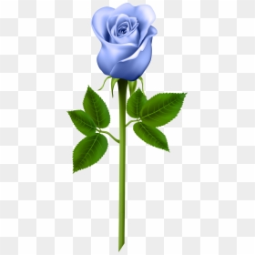 Purple Rose Clipart , Png Download - Transparent Background Purple Rose Clipart, Png Download - morning png