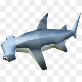 Hammerhead Shark - Requiem Shark, HD Png Download - hammerhead shark png