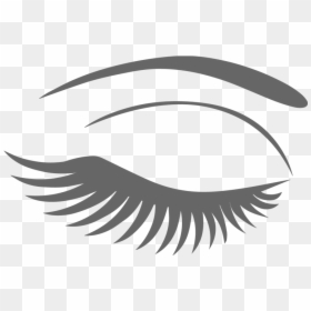 Eyebrow And Lash Png, Transparent Png - eye brow png