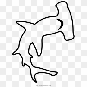 Hammerhead Shark Coloring Page - Tiburon Martillo Facil De Dibujar, HD Png Download - hammerhead shark png