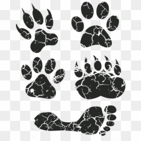 Paw Print, Paw, Foot Prints, Footprint, Animal Tracks - Paw, HD Png Download - tiger paw print png